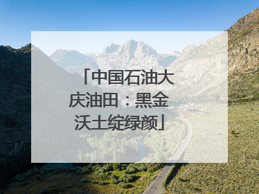 中国石油大庆油田：黑金沃土绽绿颜