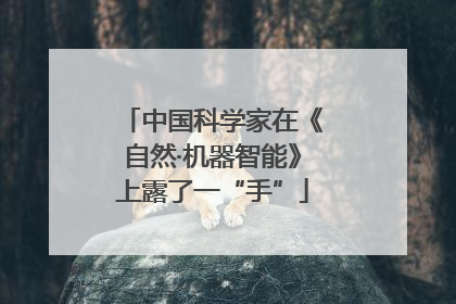 中国科学家在《自然·机器智能》上露了一“手”