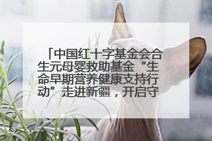 中国红十字基金会合生元母婴救助基金“生命早期营养健康支持行动”走进新疆，开启守护母婴新篇章！