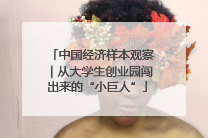 中国经济样本观察｜从大学生创业园闯出来的“小巨人”