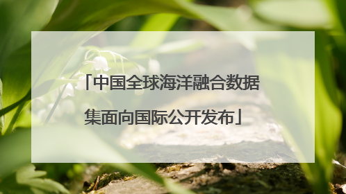 中国全球海洋融合数据集面向国际公开发布