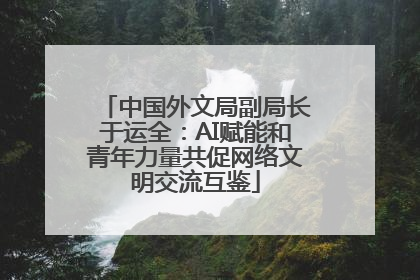 中国外文局副局长于运全：AI赋能和青年力量共促网络文明交流互鉴