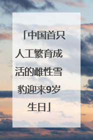 中国首只人工繁育成活的雌性雪豹迎来9岁生日