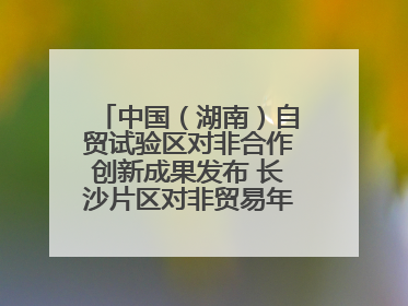 中国（湖南）自贸试验区对非合作创新成果发布 长沙片区对非贸易年均增长141%