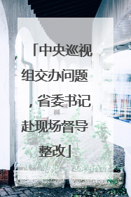 中央巡视组交办问题，省委书记赴现场督导整改
