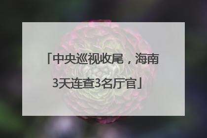 中央巡视收尾，海南3天连查3名厅官