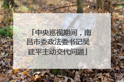 中央巡视期间，南昌市委政法委书记吴建平主动交代问题