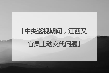 中央巡视期间，江西又一官员主动交代问题
