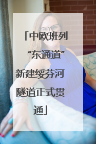 中欧班列“东通道”新建绥芬河隧道正式贯通