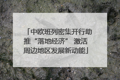 中欧班列密集开行助推“落地经济” 激活周边地区发展新动能