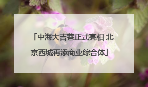 中海大吉巷正式亮相 北京西城再添商业综合体