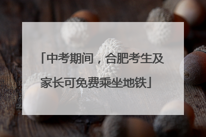 中考期间，合肥考生及家长可免费乘坐地铁