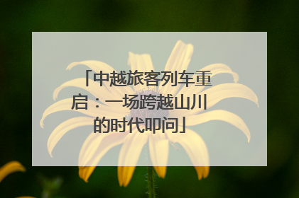 中越旅客列车重启：一场跨越山川的时代叩问
