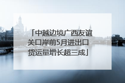 中越边境广西友谊关口岸前5月进出口货运量增长超三成