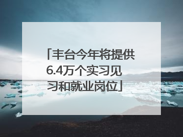 丰台今年将提供6.4万个实习见习和就业岗位