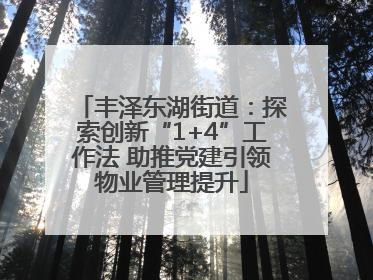 丰泽东湖街道：探索创新“1+4”工作法 助推党建引领物业管理提升