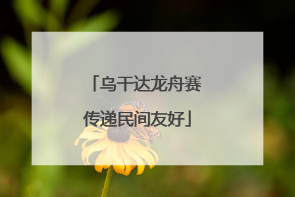 乌干达龙舟赛传递民间友好