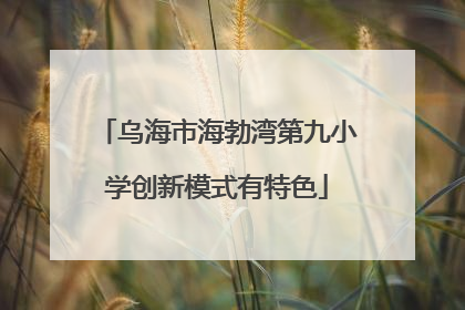乌海市海勃湾第九小学创新模式有特色