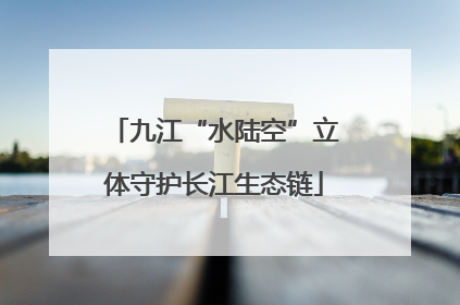 九江“水陆空”立体守护长江生态链