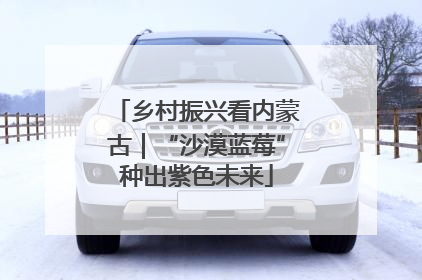 乡村振兴看内蒙古｜“沙漠蓝莓”种出紫色未来