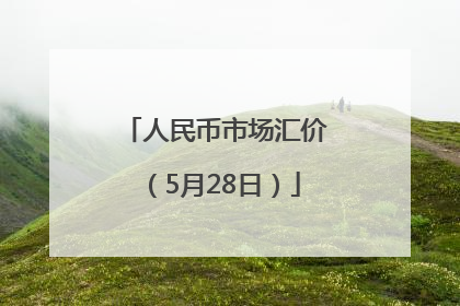 人民币市场汇价（5月28日）