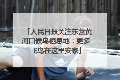人民日报关注东营黄河口候鸟栖息地：更多飞鸟在这里安家