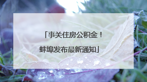 事关住房公积金！蚌埠发布最新通知