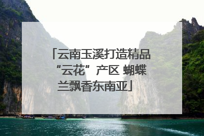 云南玉溪打造精品“云花”产区 蝴蝶兰飘香东南亚