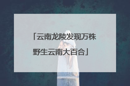 云南龙陵发现万株野生云南大百合