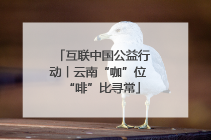 互联中国公益行动丨云南“咖”位“啡”比寻常
