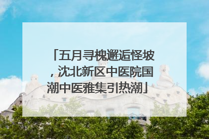 五月寻槐邂逅怪坡，沈北新区中医院国潮中医雅集引热潮