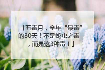 五毒月，全年“最毒”的30天！不是蛇虫之毒，而是这3种毒！