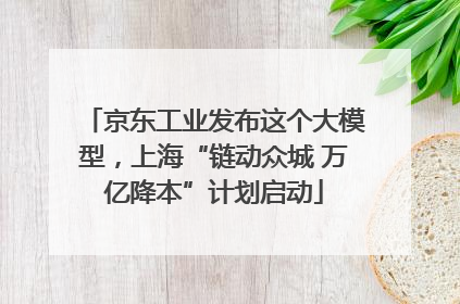 京东工业发布这个大模型，上海“链动众城 万亿降本”计划启动