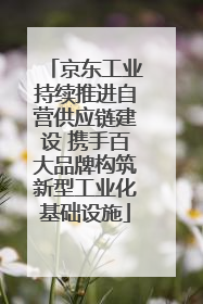 京东工业持续推进自营供应链建设 携手百大品牌构筑新型工业化基础设施