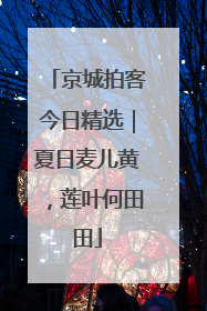 京城拍客今日精选｜夏日麦儿黄，莲叶何田田