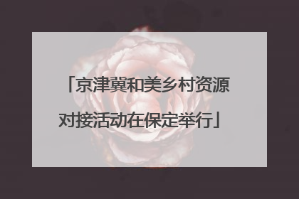 京津冀和美乡村资源对接活动在保定举行