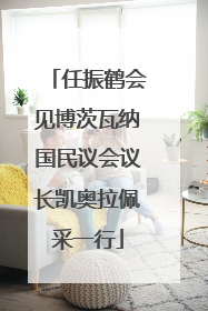 任振鹤会见博茨瓦纳国民议会议长凯奥拉佩采一行
