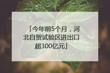 今年前5个月，河北自贸试验区进出口超300亿元