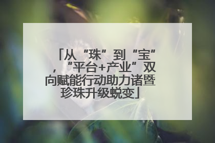 从“珠”到“宝”，“平台+产业”双向赋能行动助力诸暨珍珠升级蜕变