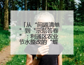 从“问题清单”到“示范答卷”：利通区农业节水整改的“蝶变之路”