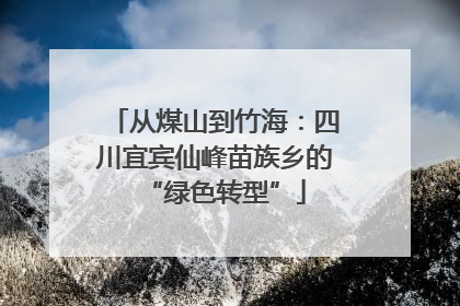 从煤山到竹海：四川宜宾仙峰苗族乡的“绿色转型”
