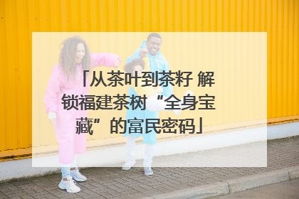 从茶叶到茶籽 解锁福建茶树“全身宝藏”的富民密码