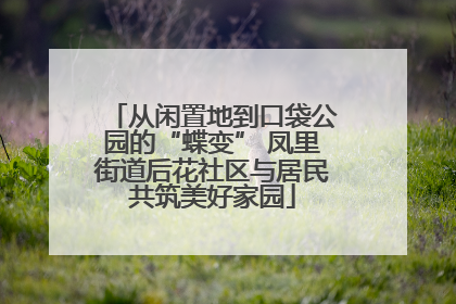 从闲置地到口袋公园的“蝶变” 凤里街道后花社区与居民共筑美好家园