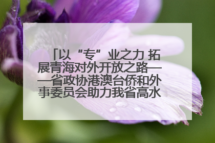以“专”业之力 拓展青海对外开放之路——省政协港澳台侨和外事委员会助力我省高水平开放和高质量发展