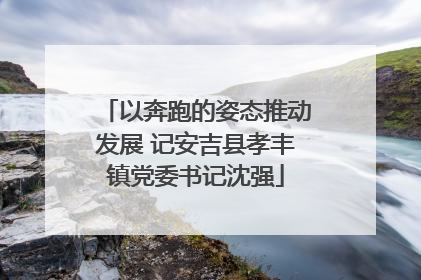 以奔跑的姿态推动发展 记安吉县孝丰镇党委书记沈强