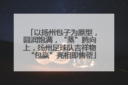 以扬州包子为原型，圆润饱满，“蒸”腾向上，扬州足球队吉祥物“包赢”亮相即售罄