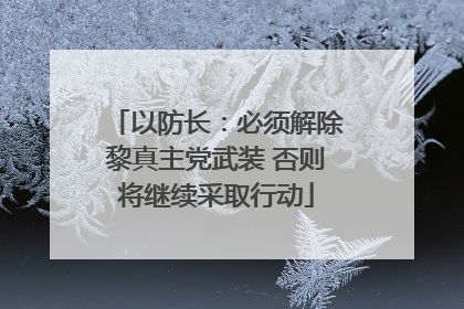 以防长：必须解除黎真主党武装 否则将继续采取行动