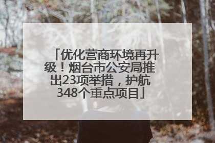 优化营商环境再升级！烟台市公安局推出23项举措，护航348个重点项目