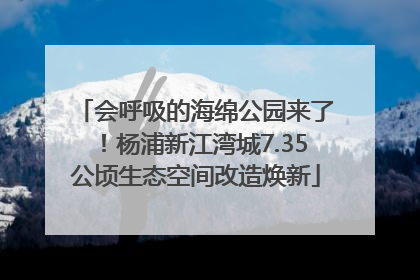 会呼吸的海绵公园来了！杨浦新江湾城7.35公顷生态空间改造焕新
