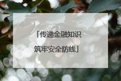 传递金融知识 筑牢安全防线